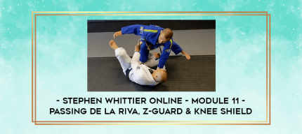 Stephen Whittier Online - Module 11 - Passing De La Riva