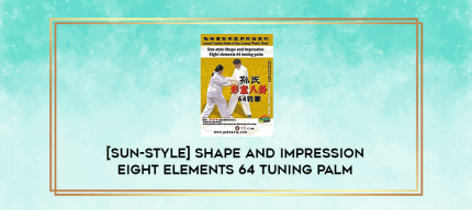 [Sun-Style] Shape and impression Eight elements 64 tuning palm digital courses