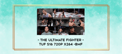 The Ultimate Fighter - TUF S16 720p x264 -BMF digital courses