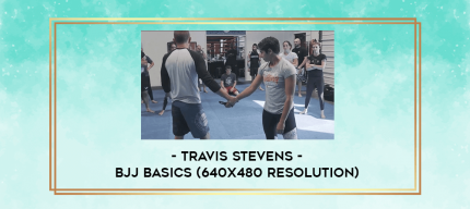 Travis Stevens - BJJ Basics (640x480 resolution) digital courses