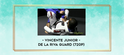 Vincente Junior - De La Riva Guard (720p) digital courses