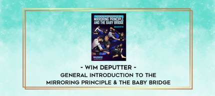 Wim Deputter - General Introduction To The Mirroring Principle & The Baby Bridge digital courses