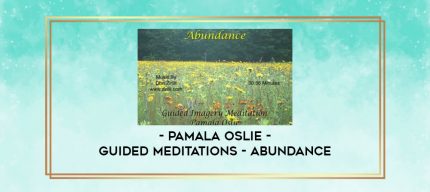 Pamala Oslie - Guided Meditations - Abundance digital courses