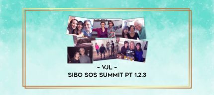 VJL - SIBO SOS Summit Pt 1.2.3 digital courses