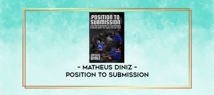 MATHEUS DINIZ - POSITION TO SUBMISSION digital courses