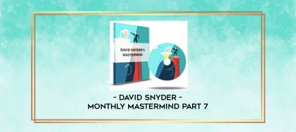 David Snyder - Monthly MasterMind Part 7 digital courses