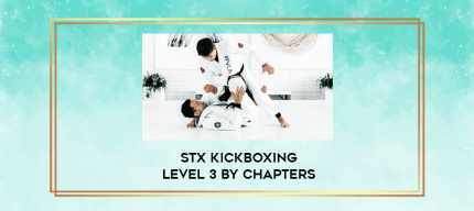 stx kickboxing level 3 by chapters digital courses