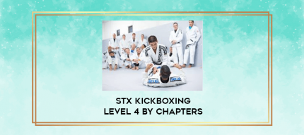 stx kickboxing level 4 by chapters digital courses