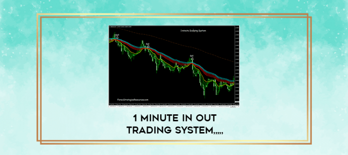 1 Minute In Out Trading System from https://imylab.com