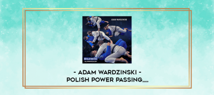 Polish Power Passing By Adam Wardzinski from https://imylab.com