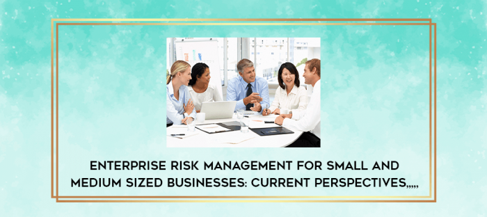 Enterprise Risk Management for Small and Medium Sized Businesses: Current Perspectives from https://imylab.com