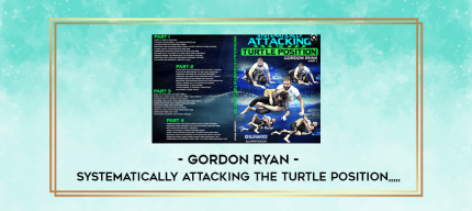 Gordon Ryan - Systematically Attacking the Turtle Position from https://imylab.com