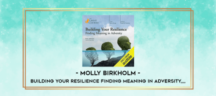 Molly Birkholm - Building Your Resilience Finding Meaning in Adversity from https://imylab.com