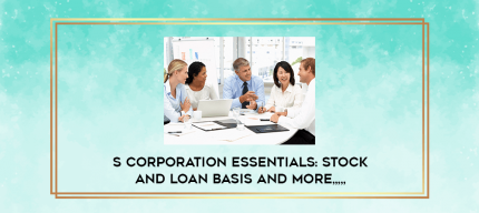 S Corporation Essentials: Stock and Loan Basis and More from https://imylab.com