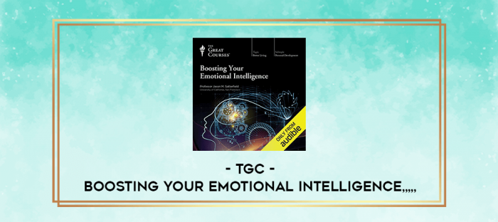 TGC - Boosting Your Emotional Intelligence from https://imylab.com