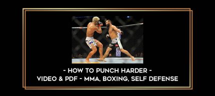 How to Punch Harder - Video & PDF - MMA