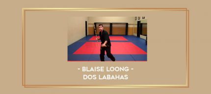 Blaise Loong - Dos Labahas Online courses