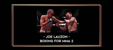 Joe Lauzon - Boxing for MMA 2 Online courses