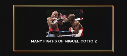 Many Figths of Miguel Cotto 2 Online courses