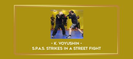 K. Voyushin - S.P.A.S. Strikes In A Street Fight Online courses