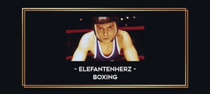Elefantenherz - Boxing Online courses