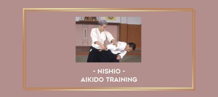 Nishio - Aikido Training Online courses