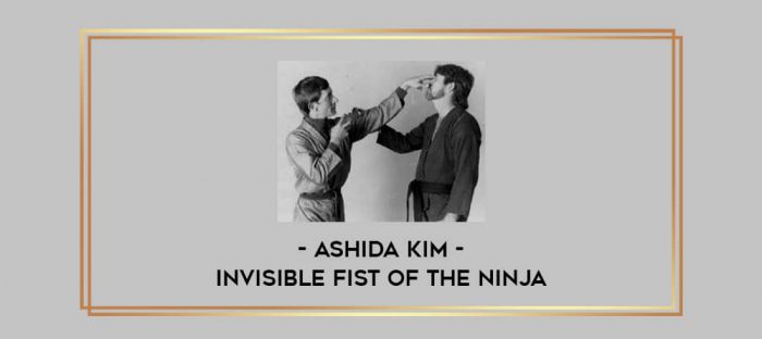 Ashida Kim - Invisible Fist of the Ninja Online courses