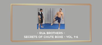 Rua Brothers - Secrets of Chute Boxe - Vol. 1-6 Online courses