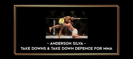 Anderson Silva - Take downs & Take down Defence for MMA Online courses