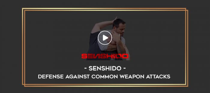 Senshido - Defense Against Common Weapon Attacks Online courses