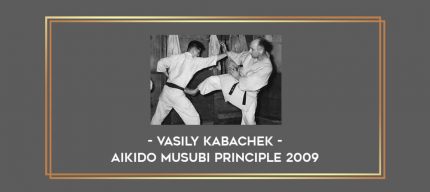 Vasily Kabachek -  Aikido Musubi principle 2009 Online courses