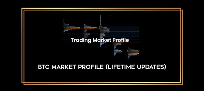 BTC Market Profile (Lifetime Updates) Online courses